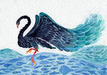 The black swan by Sandwichwithham