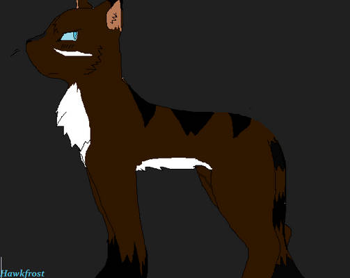 Hawkfrost