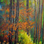 Quiet Forest