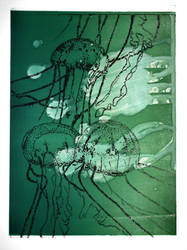 Intaglio: Jellyfish Lithotene