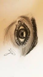 Another Eye Sketch