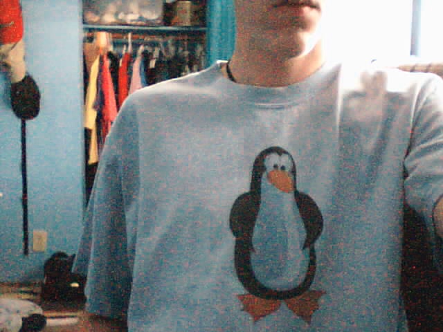 Penguin Shirt