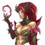 Zyra