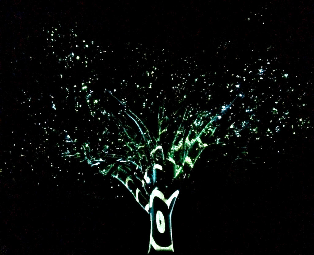 Illuminated Tree