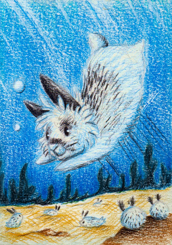 Sea Rabbits by karpfinchen on DeviantArt