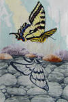 Butterfly Reflection by Katjakay
