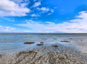 Rathtrevor Beach