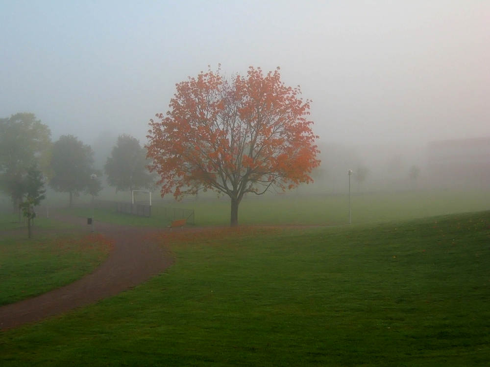 Autumn Mist