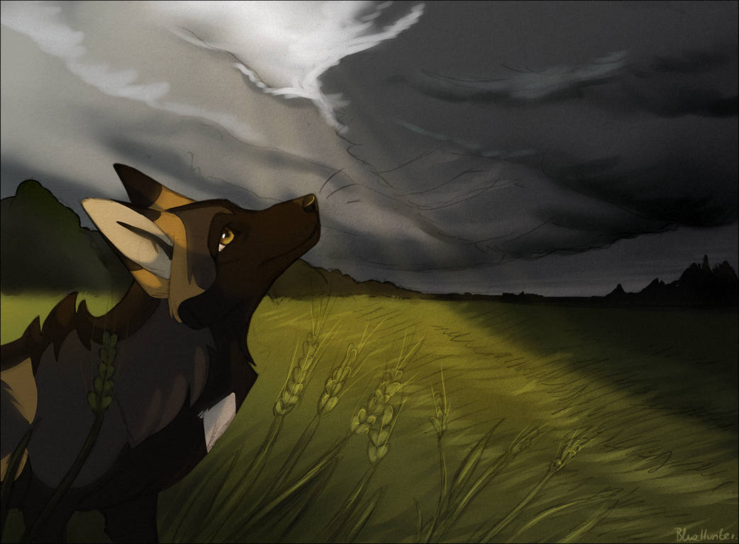No end inside. by BlueHunter