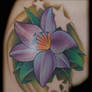 lilly tattoo