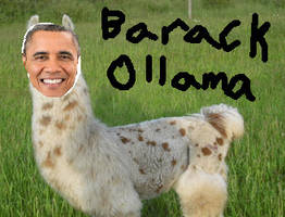 Barack Ollama