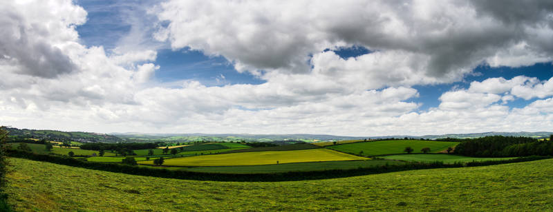 Fields near Berry Pomeroy