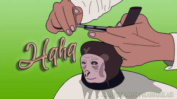 Monkey Haircut Meme by RaghunathPrabhakar on DeviantArt