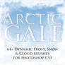 Arctic Gale Dynamic Brushes