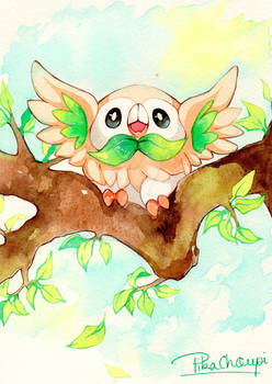 Pokemon Sun and Moon Rowlet