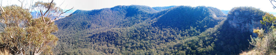 Lachlan Fold Belt approaches