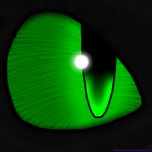 Toothless eye 2 by Shadowphonix11 on DeviantArt