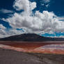 Laguna Colorada