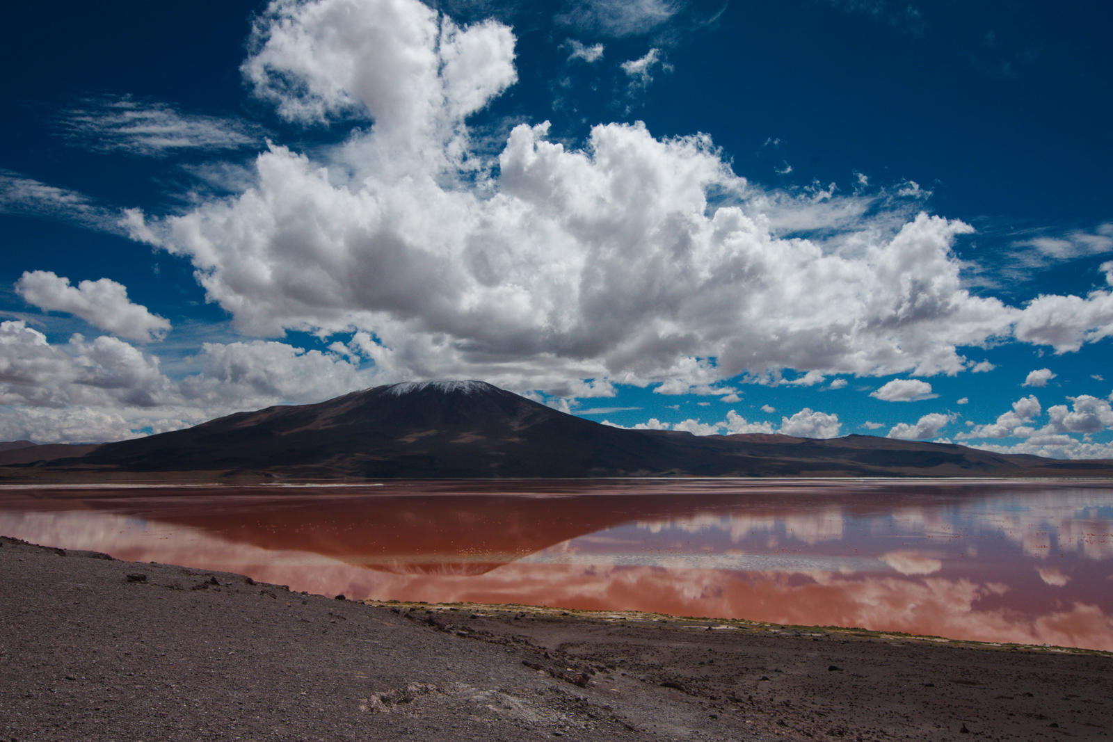 Laguna Colorada