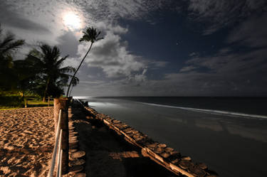 Beach at night