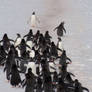 Traffic jam in Antarctica