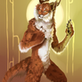 Commission for Seylwelyn