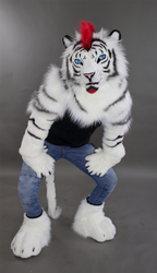 Lorcan white tiger