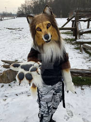 Inuba rough collie realistic fursuit partial