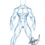 Male Anatomy Template: Front