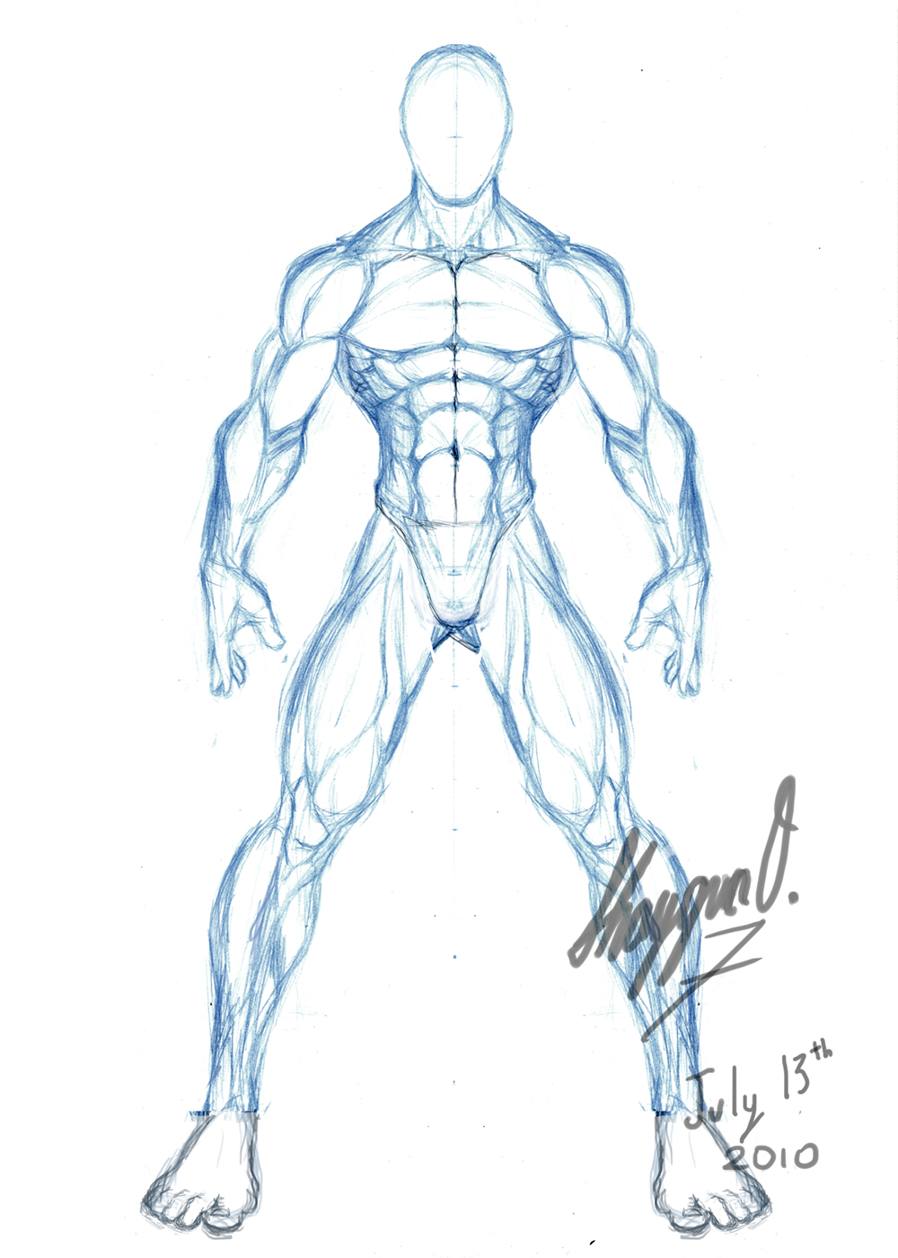 Male Anatomy Template: Front by Shintenzu on DeviantArt