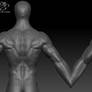 WIP Preview: 3D male Anatomy.