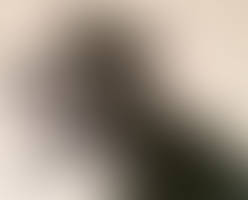 Standartenfuhrer Herzog