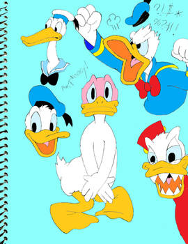 Donald Duck