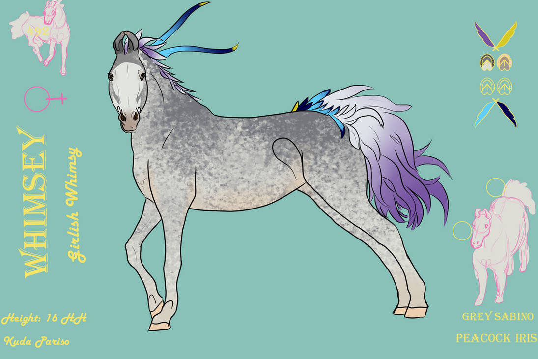 Whimsy Profile Whimsy Reference by StarOrchid23 on DeviantArt