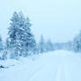 Snowy road