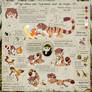 NP-tiger reference sheet