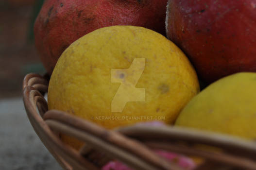 Basket of fruits