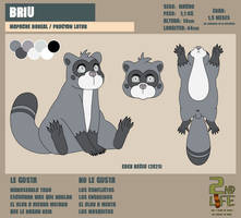 FICHA PERSONAJE 2021: BRIU