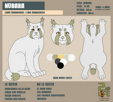 FICHA PERSONAJE 2021: NUBARA