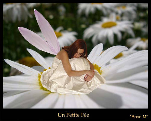 Une Petite Fee