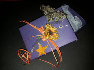 Purple present box