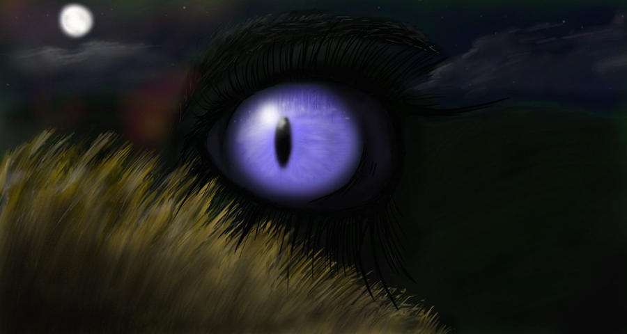 Captivating Wandering Eye Scene for Your Screen Captivating Wandering Eye Scene for Your Screen