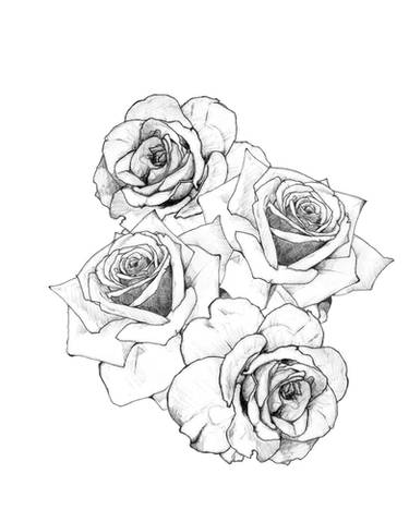 Rose tattoo design