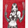 X-23 !!!