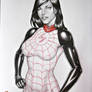 SILK,  ON E-BAY AUCTION NOW !!!