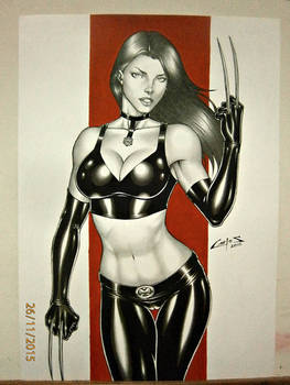 X-23, COMING SOON ON E-BAY !!!