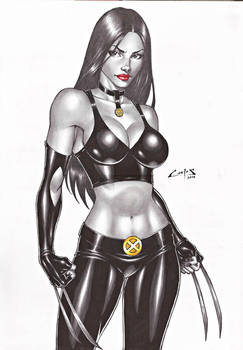 X-23 !!!