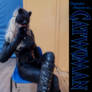 Catwoman Cleaning a Paw