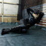 The Catwoman Who Got the Cream...