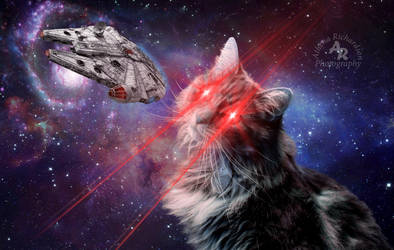 Space Cat wm